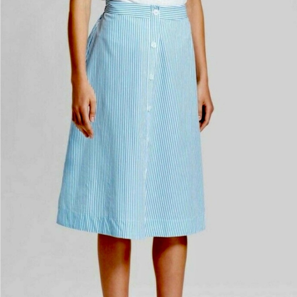 A line blue and white striped skirt